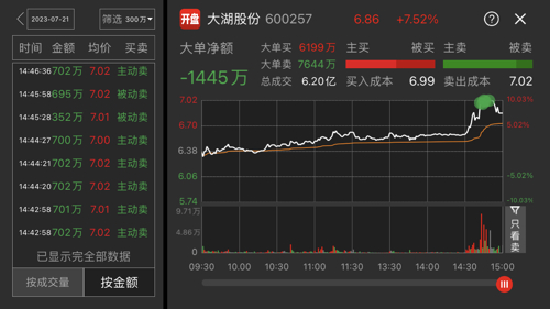 大湖股份最新动态解析，前景、挑战及观点展望