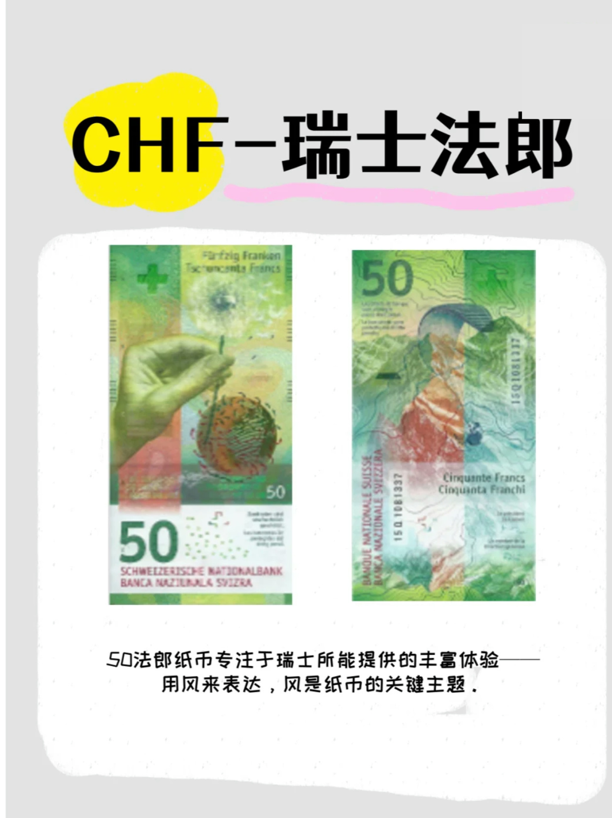 瑞士币最新动态及全面指南，步骤详解与最新资讯