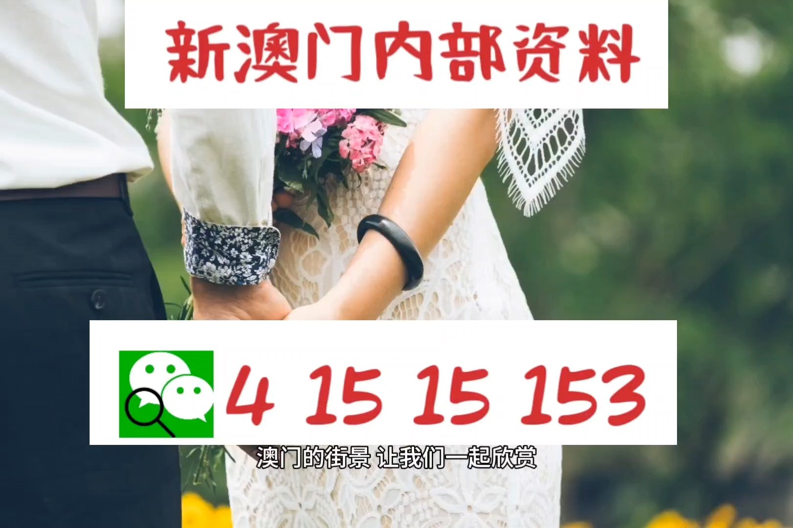 7777788888新澳门正版,专业解答实行问题_标准版3.572