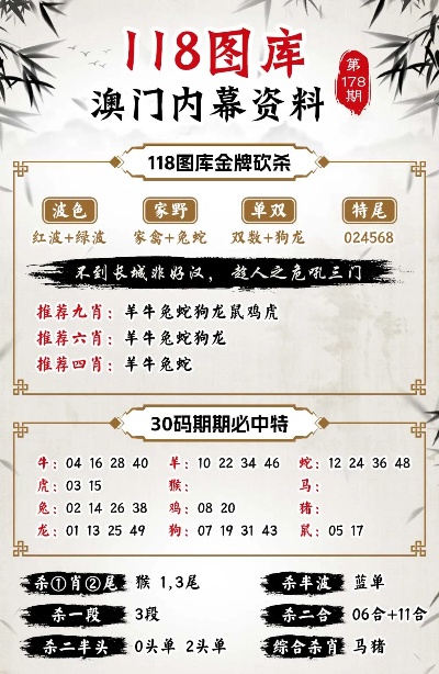 香港内部马料免费资料亮点,数据支持设计_经典款2.741