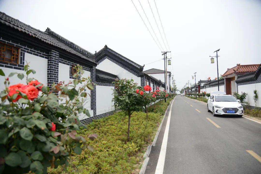 草鱼价格行情最新动态与一场自然美景的旅行探索