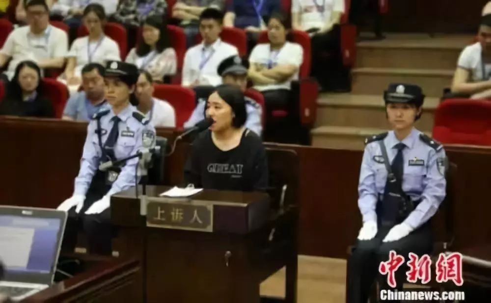 保姆纵火案最新进展，法律公正与社会正义的坚守之战