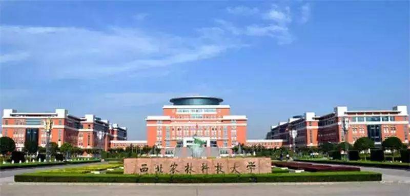 杨凌人才人事网最新招聘动态，多元视角聚焦人才招聘与影响