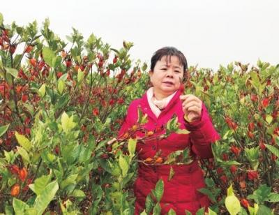 时光流转下的真空爱情记录演员现状探秘，他们的去向何方？