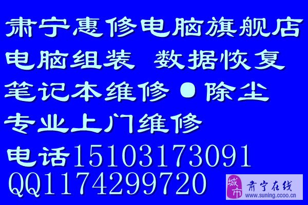 肃宁招聘信息全面概览
