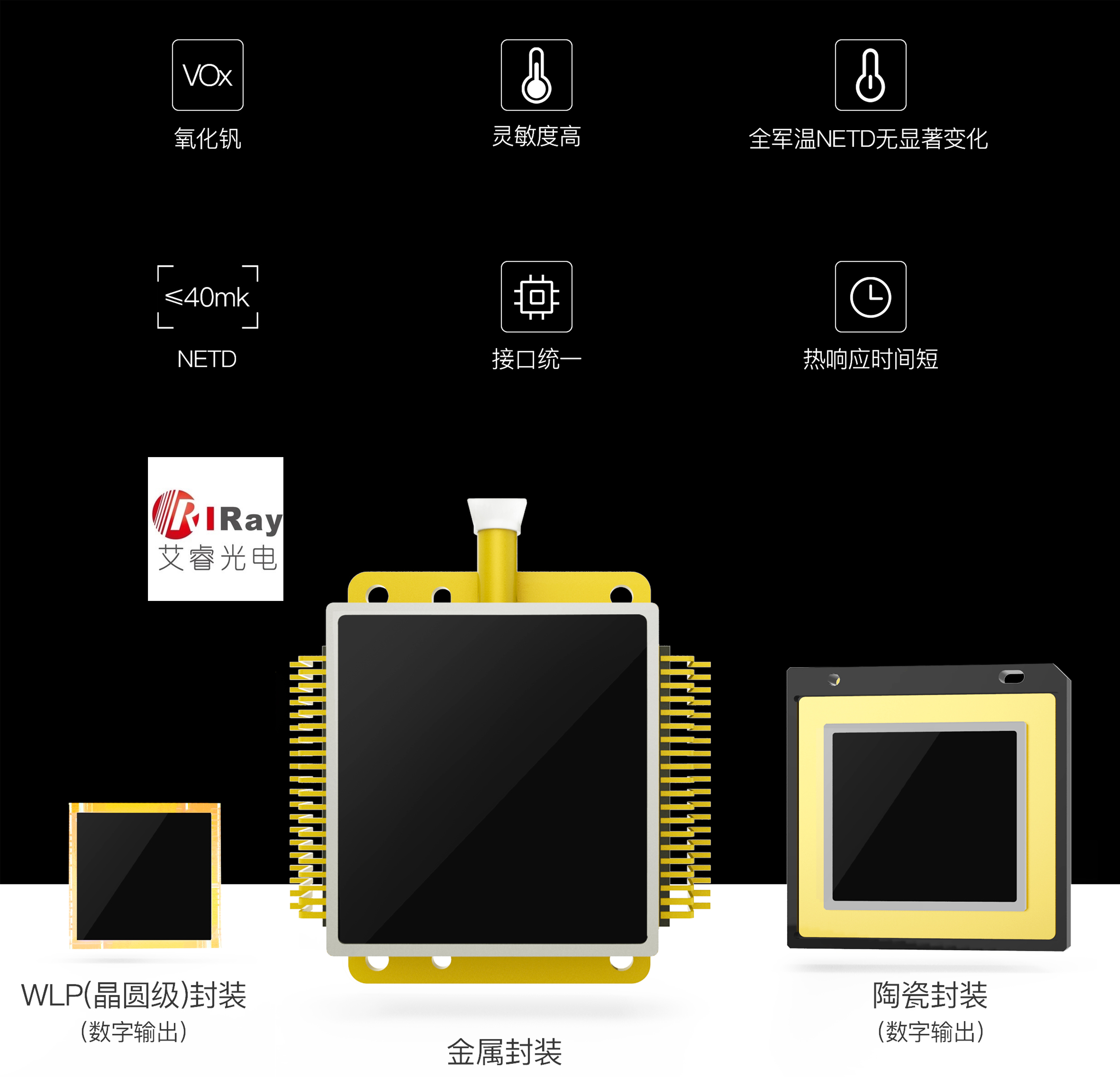 最新技术与应用趋势，探索未来发展方向的1024