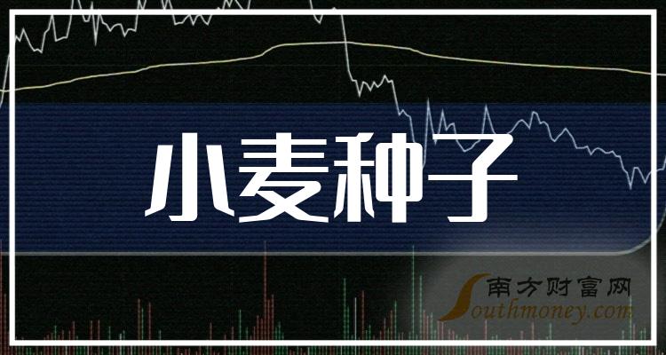 小麦种子行情详解，如何把握市场动态与洞悉市场机遇？