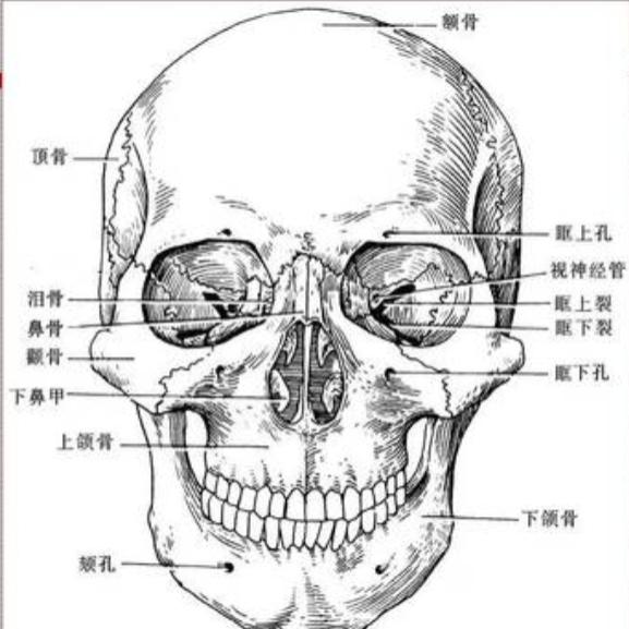 大陆电视剧男演员，全面指南与深度解析