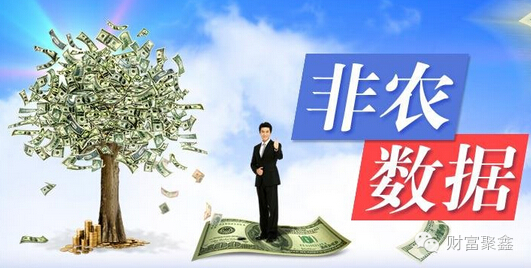 非农报告最新动态解析，观点阐述与深度分析