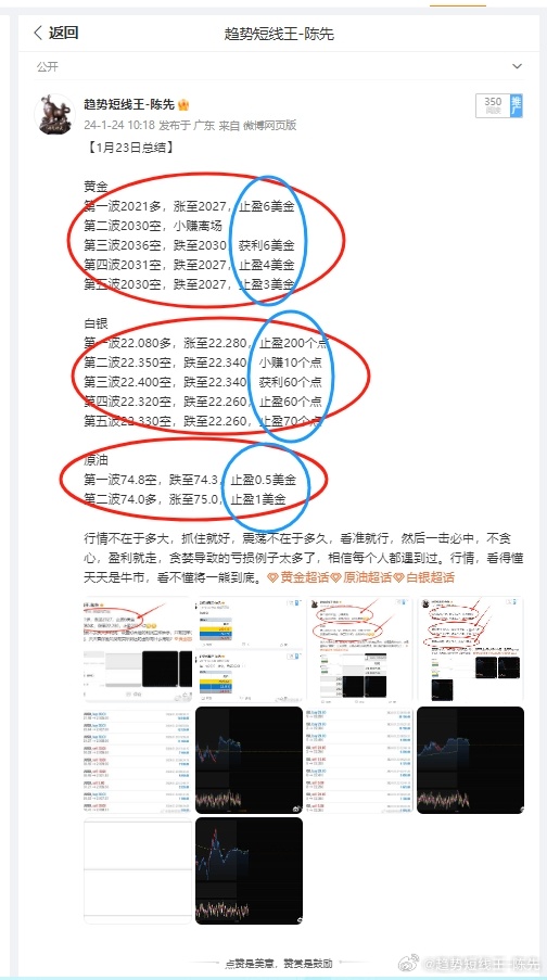 2024澳新正版资料亮点解析：素材方案动态解读与YXO5.35阴阳变换攻略