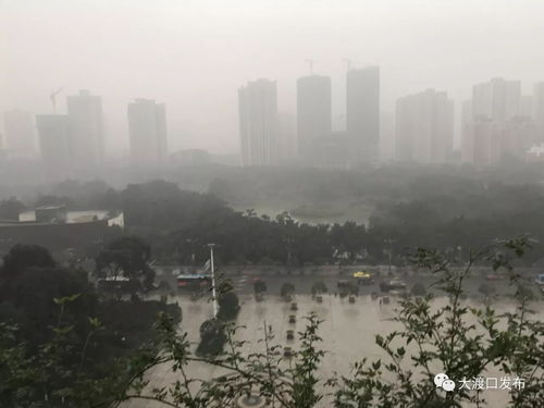重庆最新天气预报,重庆最新天气预报，一场寻找内心平静的自然美景之旅
