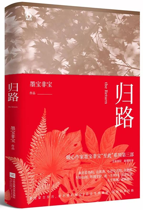 墨宝非宝最新小说，深度解析与观点阐述