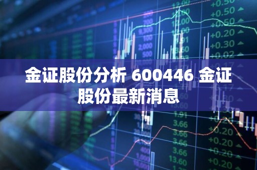 金证股份最新动态与消息更新📈📢