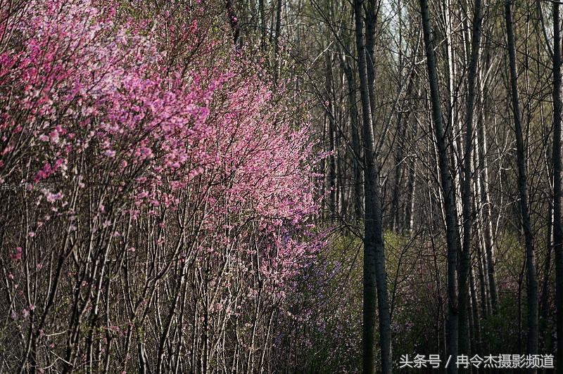 荒村野性，高科技产品的革新之旅最新章节