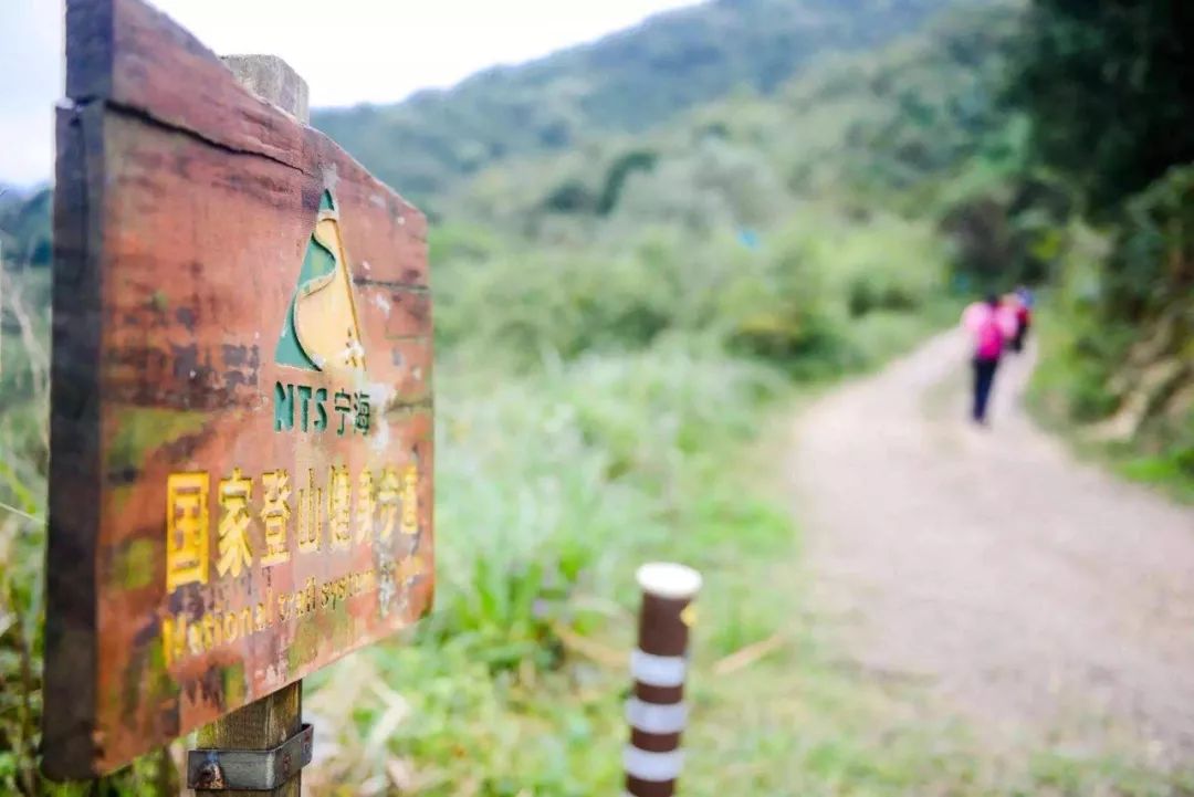 桑植最新道场，观点阐述与深度解析