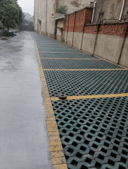 探索小巷深处的独特风情，隐藏版塑料网特色小店揭秘之旅