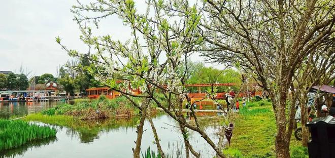 郫县疫情最新信息及绿意中的轻松之旅，探寻内心宁静的旅程