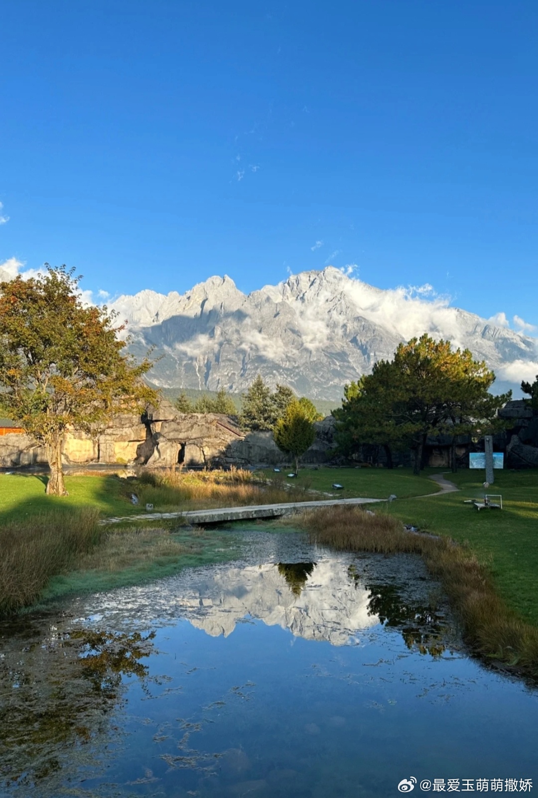 探索自然美景的治愈之旅，最新小明看看永久域名分享