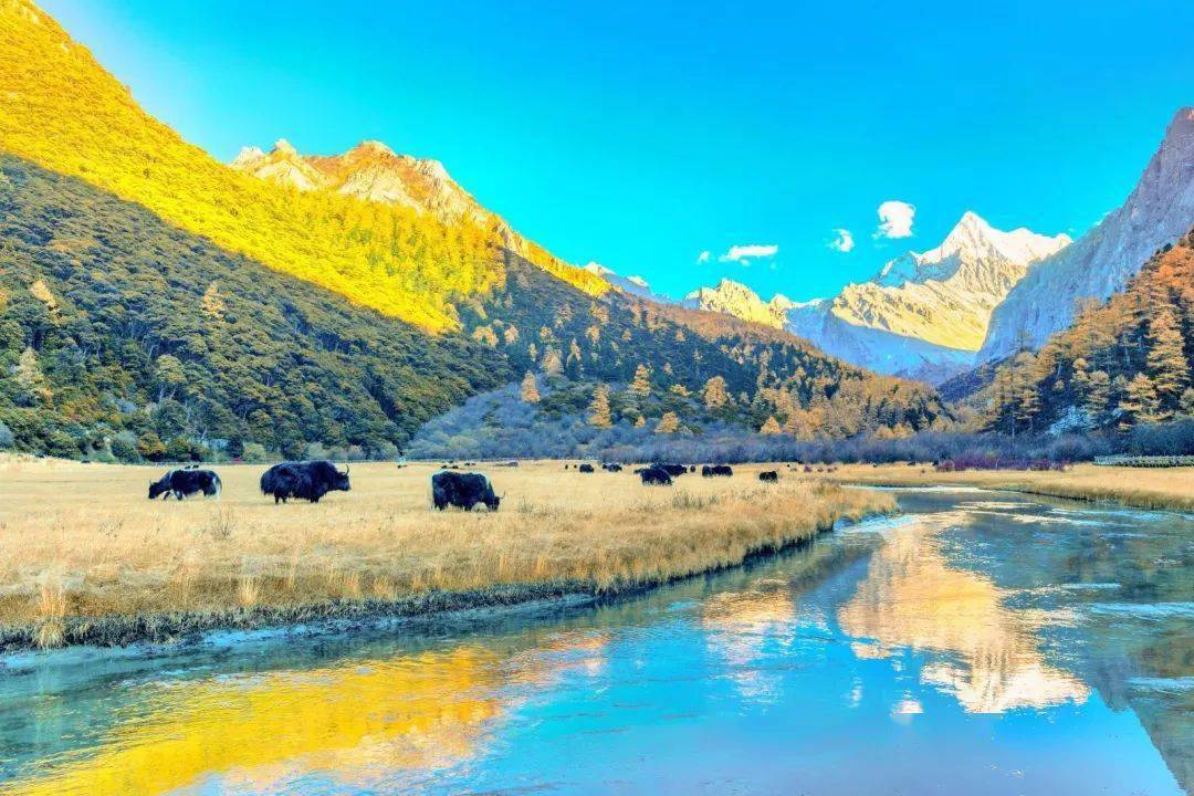 菌菇水最新版，自然美景的探险之旅启动