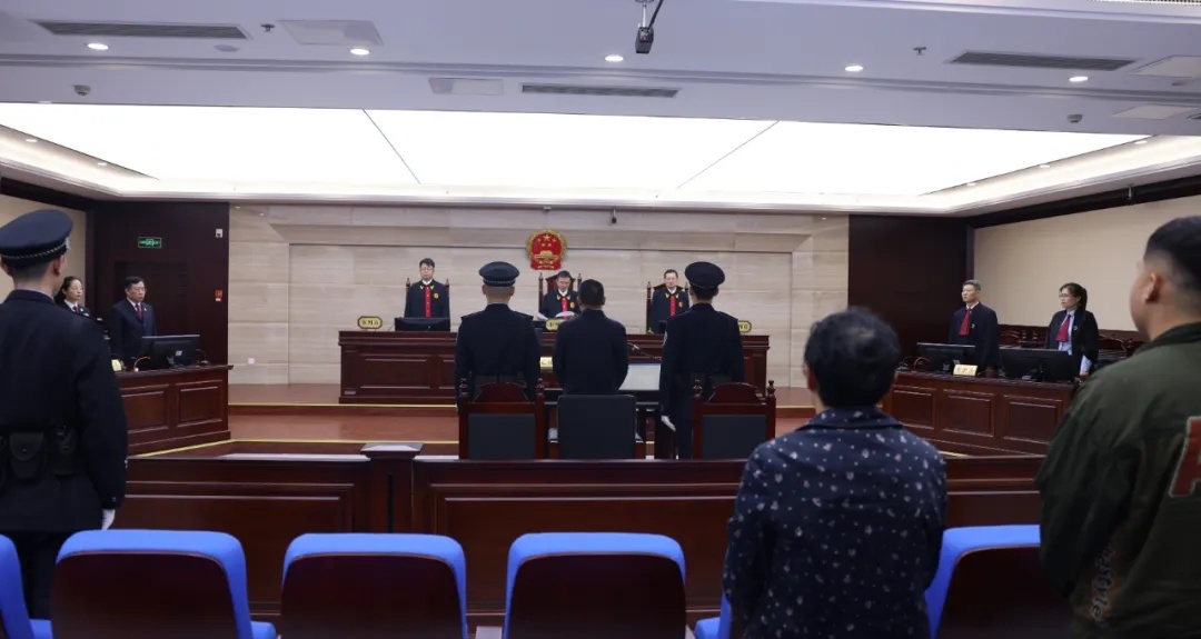 枣庄最新县级领导调整深度解析与观点阐述
