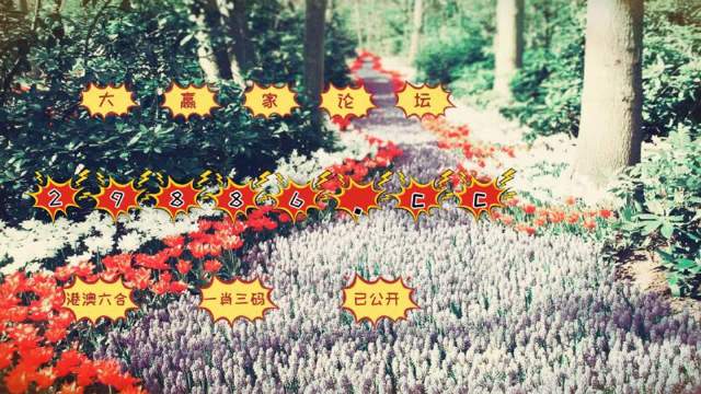 一肖一码100-准资料,实地研究解答协助_随机版70.149