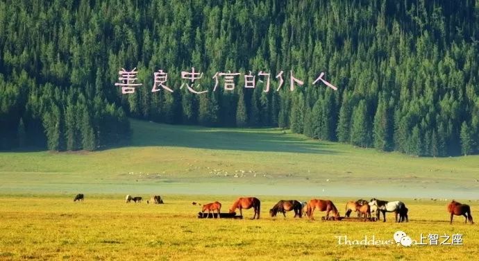 中粮生化最新资讯，探寻自然美景之旅，寻找内心平和之地