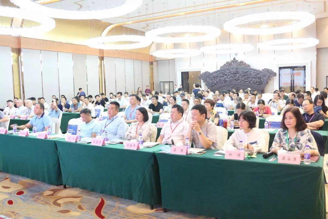 最新纱线行情深度解析与趋势分析