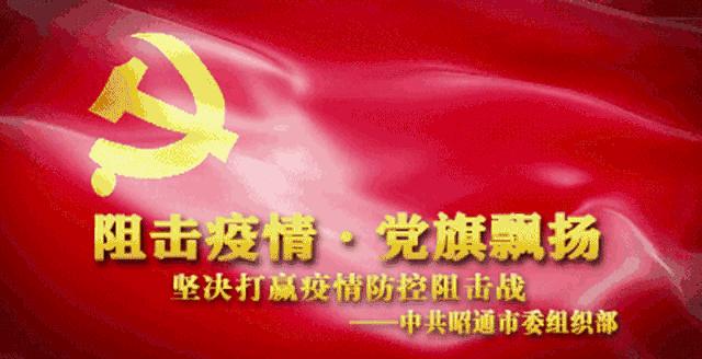 云南省疫情最新动态与观点论述