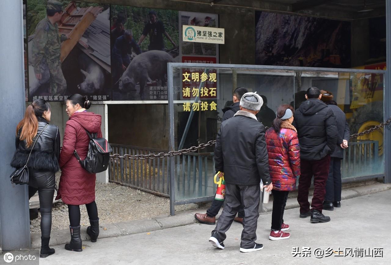 最新地震台网搭建与操作指南