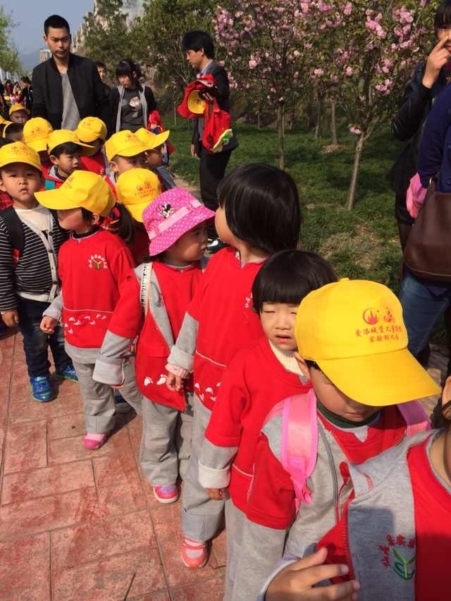 杨绍清与自然美景的邂逅，寻找内心平和之旅的最新动态