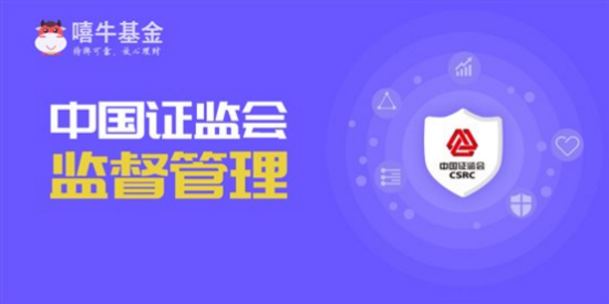 猫皇资讯，引领科技潮流，重塑生活体验新体验
