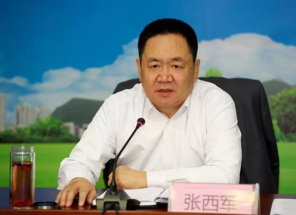 邢台张明杰最新动态更新，最新消息汇总
