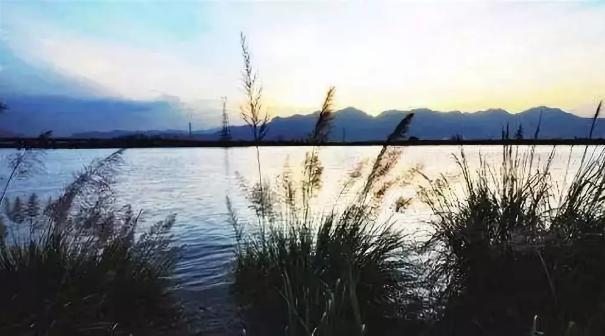 群联最新探索，自然美景之旅，寻找内心平和的旅程