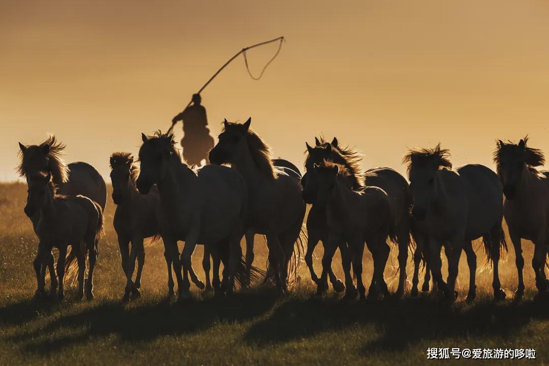 最新买马开奖，自然美景探险之旅开启！