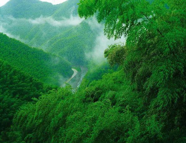 全国汽油最新价格及自然美景探索之旅
