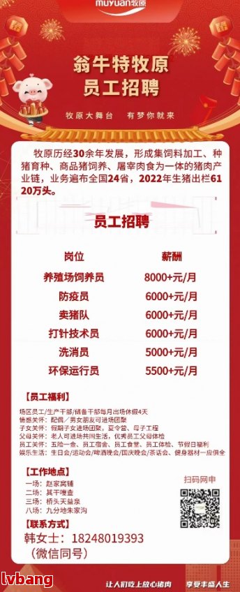 乌牛最新招聘火热启动！职位等你来挑战！✨🚀