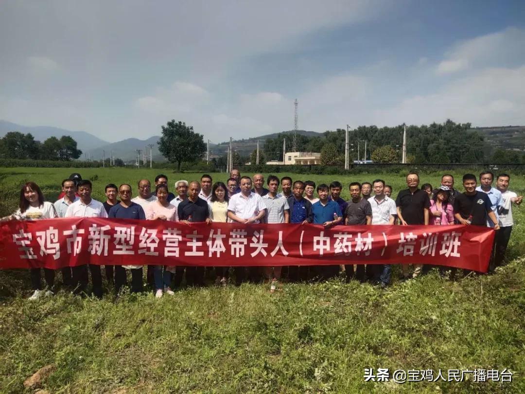 独活最新价格揭秘，引领科技潮流，体验未来生活