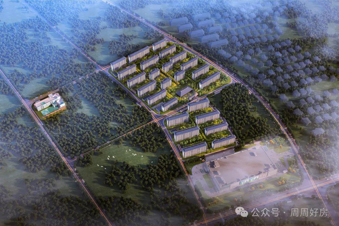 廊坊大官地最新动态揭秘🌟