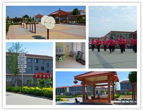 夏津楼房最新价格表及市场分析与趋势预测