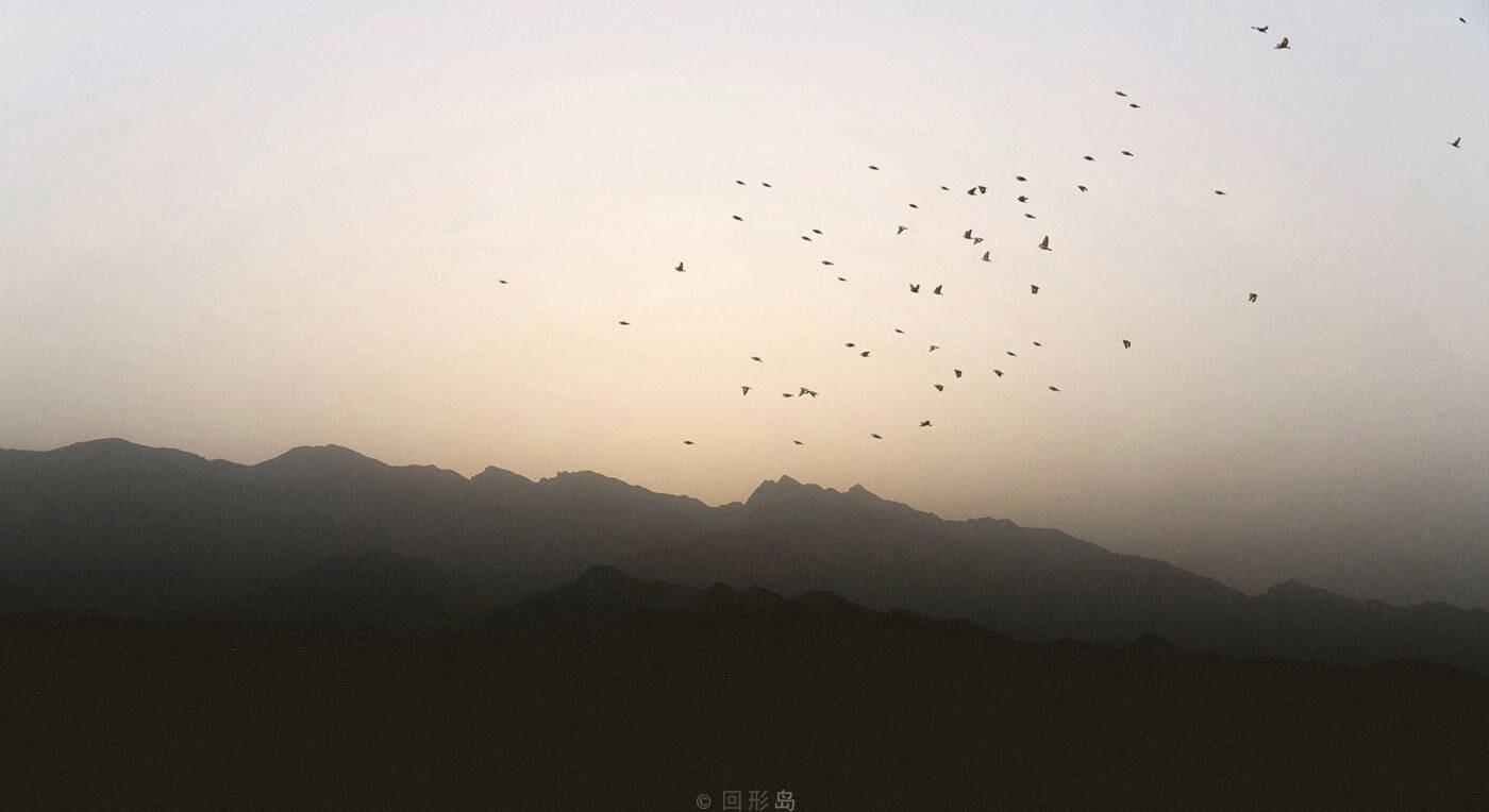 非主流个性签名，小巷深处的独特风尚探秘