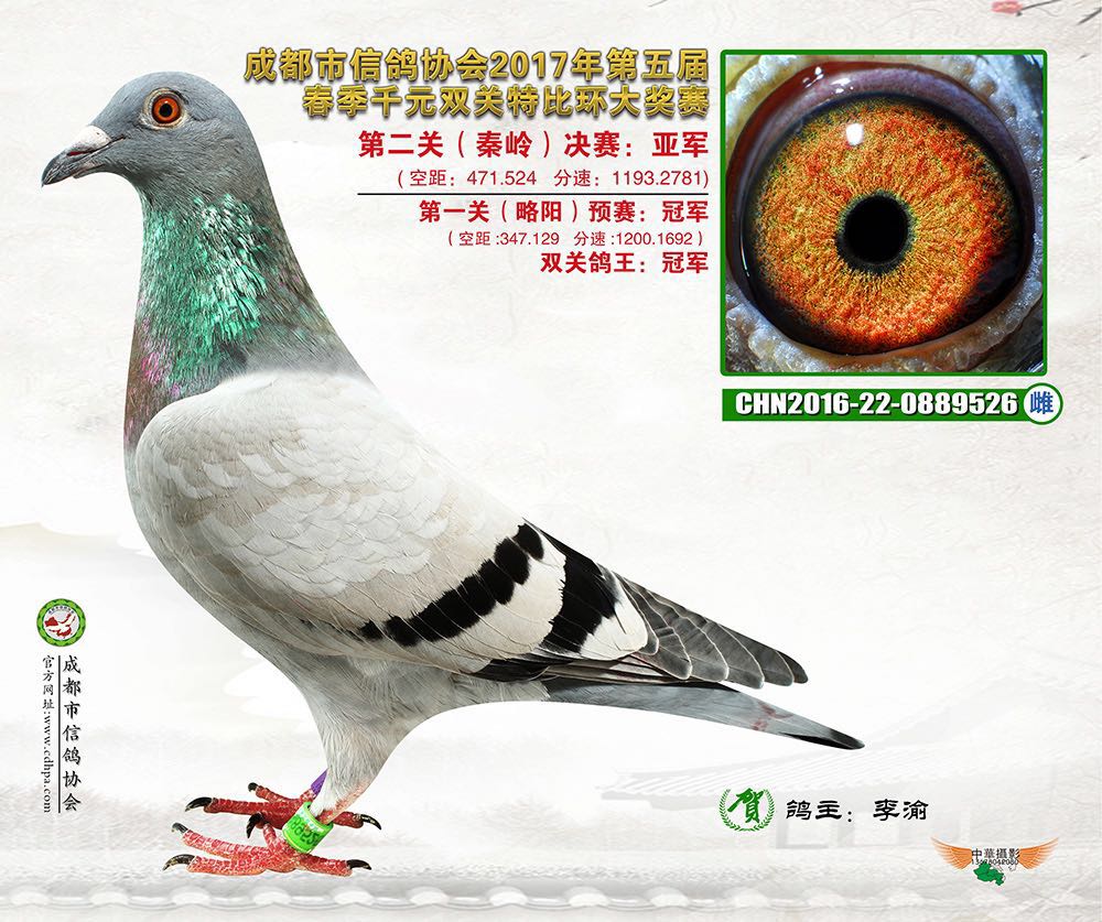 樊通书友会 第25页