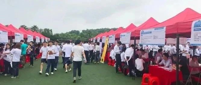 西樵论坛最新招工信息，繁荣与机遇交汇处的招工机遇大解析