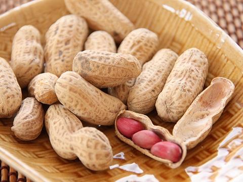 山东省花生米最新价格分析与探讨