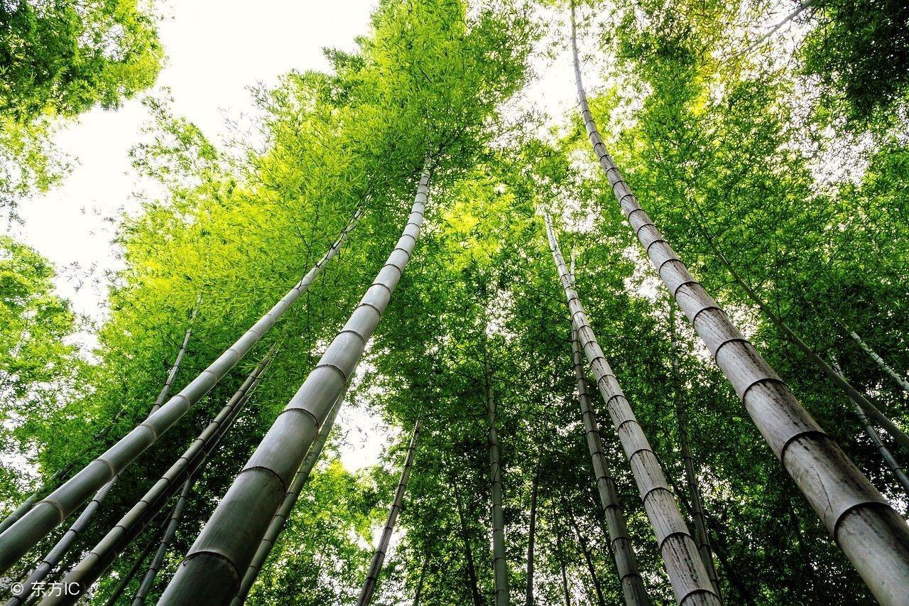 蓉昆高铁最新动态，自然美景之旅即将启程，宁静与欢笑的期待之旅