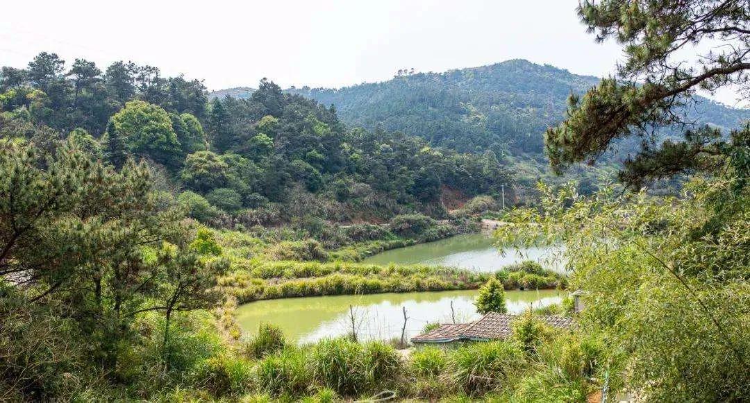 弥勒最新招聘，探索自然美景，启程内心平静之旅